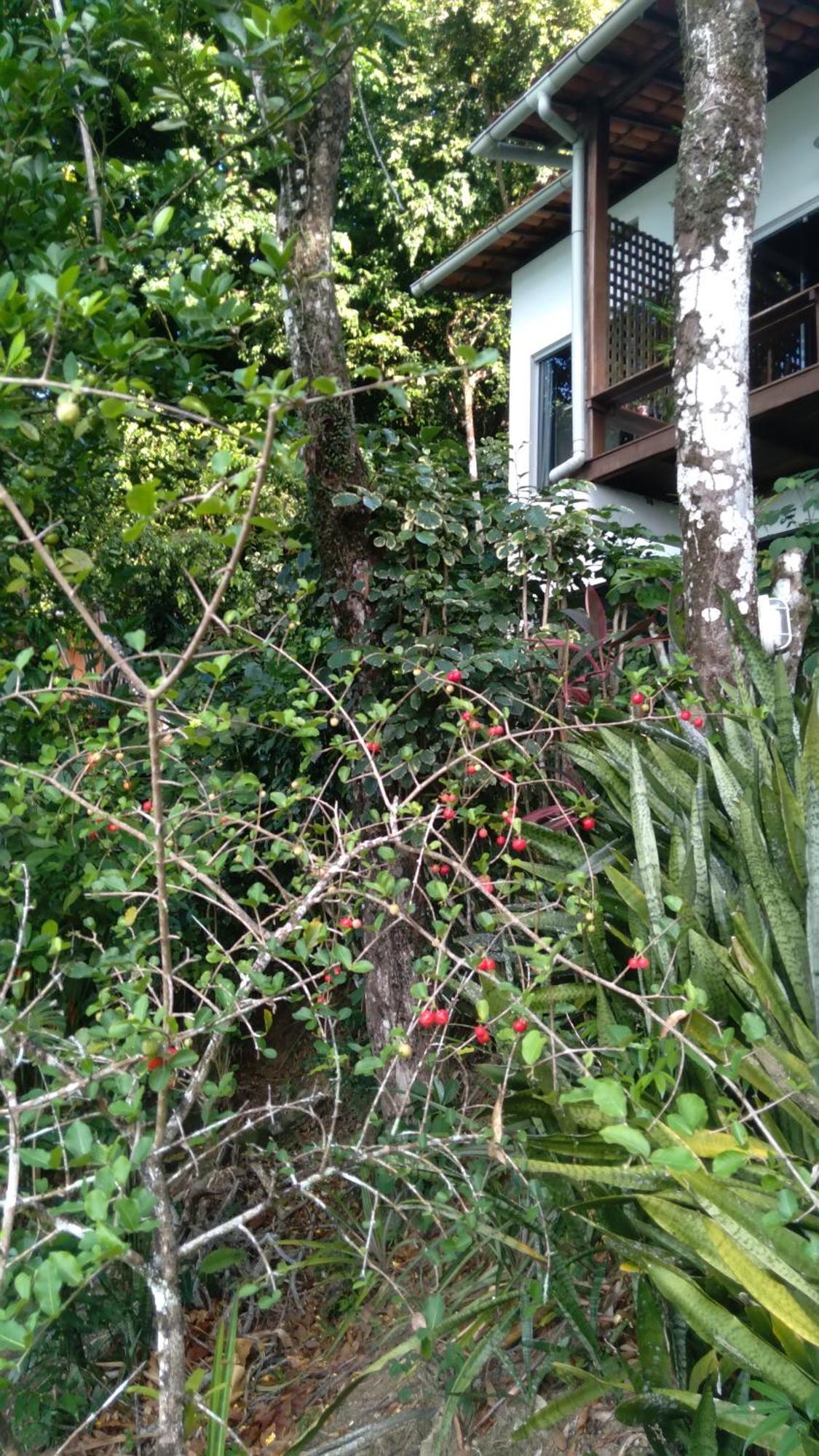 Casa Shuhari Villa Morro de São Paulo Buitenkant foto